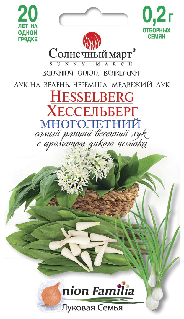 Лук Хессельберг